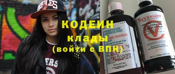 шишки Горно-Алтайск