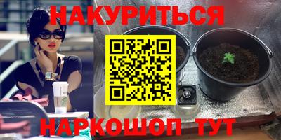 ешки Краснознаменск